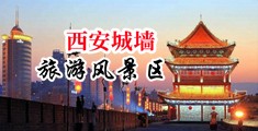 女人大黑β片在线观看中国陕西-西安城墙旅游风景区