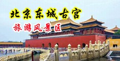 啊啊啊操我逼逼好爽视频中国北京-东城古宫旅游风景区